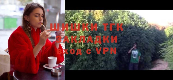 гидра Абаза