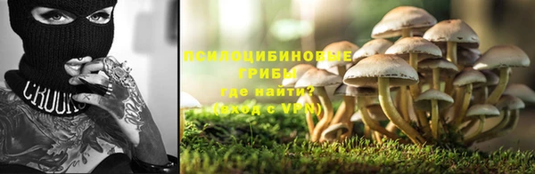 дурь Гусев