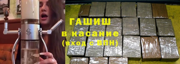 гидра Абаза