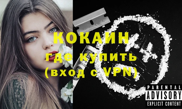гидра Абаза