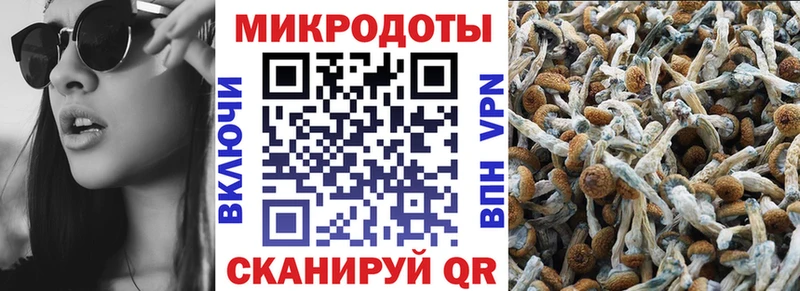 Псилоцибиновые грибы мухоморы  hydra маркетплейс  Красновишерск 